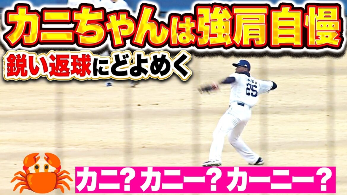 【カニビーム🦀】外野守備練習『活気あふれる外野陣…カニ!アンコー!ガッツマン!』 【カニビーム🦀】外野守備練習『活気あふれる外野陣…カニ!アンコー!ガッツマン!』