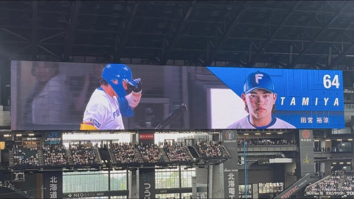 2025 ファイターズ 田宮裕涼 登場曲 碧暦/中島健人