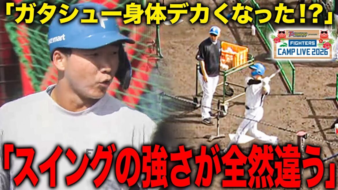 山縣秀の打撃＆身体つきも進化「ガタシュー身体デカくなった!?」体重増加で肉体改造＜2/3ファイターズ春季キャンプ2026＞
