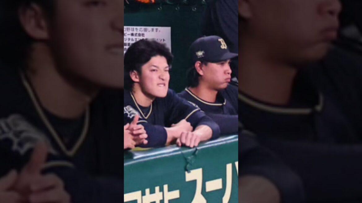#オリックス#宇田川優希#本田仁海#育成選手#トミージョン手術#支配下登録#NPB#プロ野球#オリックスバファローズ#バファローズ#戦力外通告#再契約#復活への道#投手復活#侍ジャパン#WBC