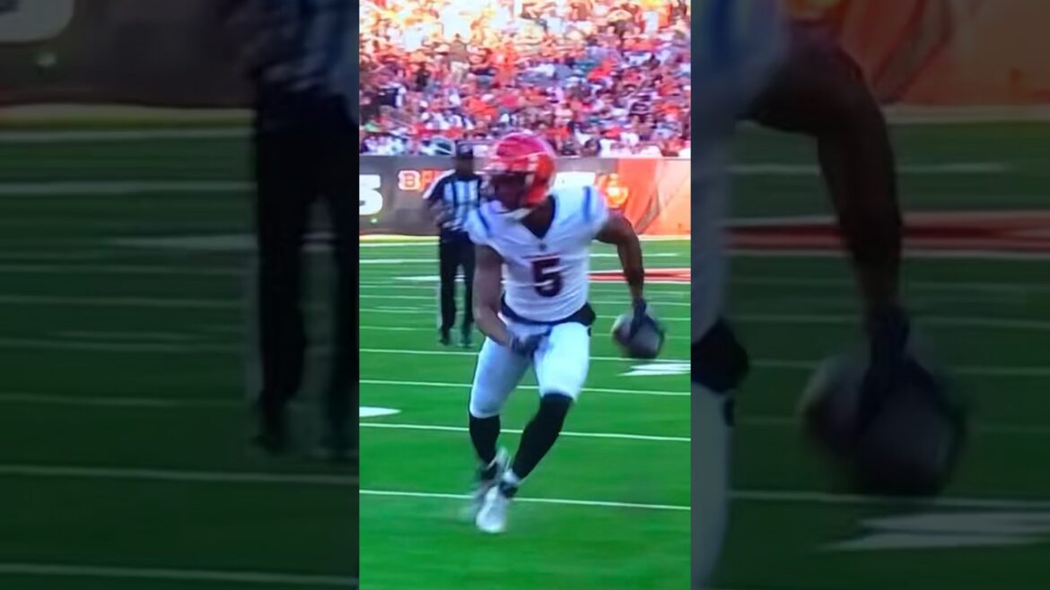 Bengals WR #5 T. Higgins TD🏈10yds *side steppin 4-6*