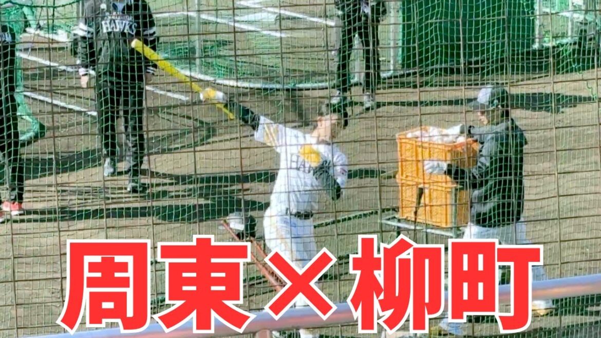 【2026春季キャンプ初日】ソフトバンクホークス 周東 × 柳町の打撃練習｜宮崎・生目の杜 現地映像