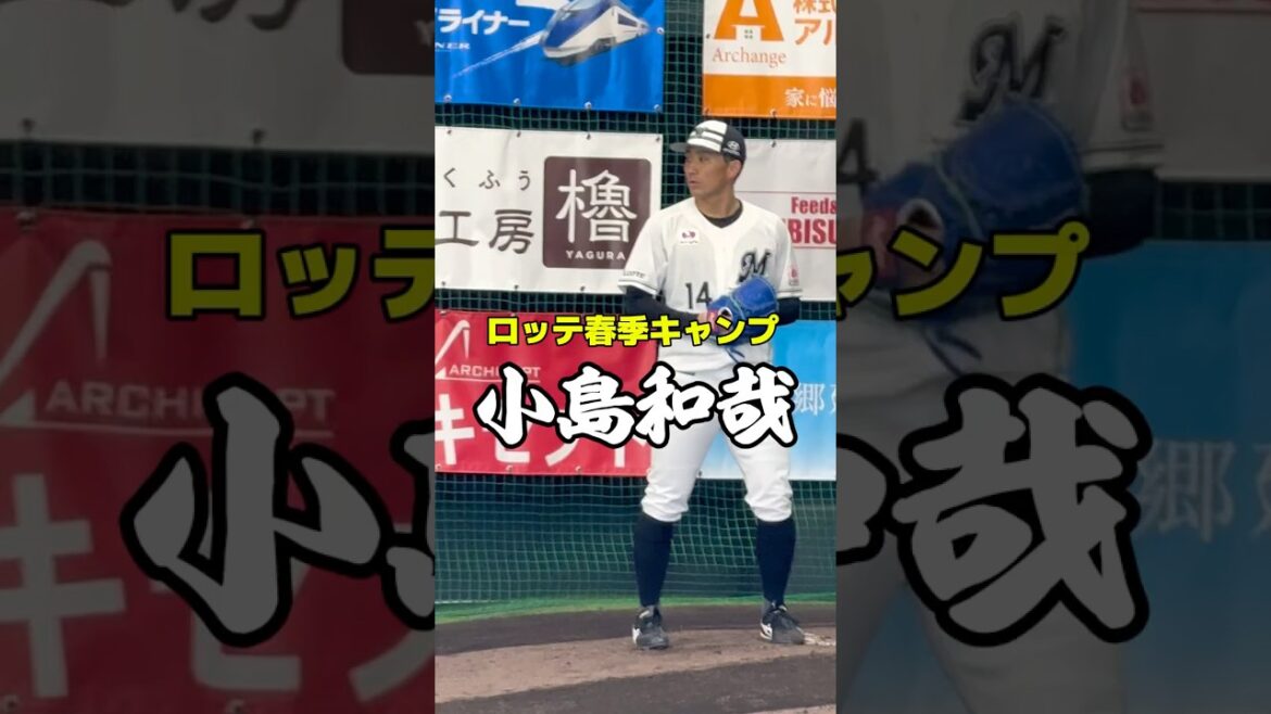 ロッテ・小島和哉（浦和学院ー早稲田大）　千葉ロッテマリーンズ　春季キャンプブルペン　プロ野球　#ロッテ #千葉ロッテマリーンズ #プロ野球 #投手 #baseball #shorts