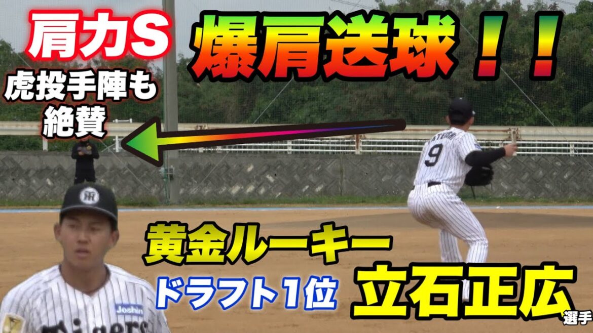 【そうか そうかこれが虎の未来か！！】怪我明け後初のノックでとんでもない爆肩を披露する今年のドラフト1位 立石正広選手