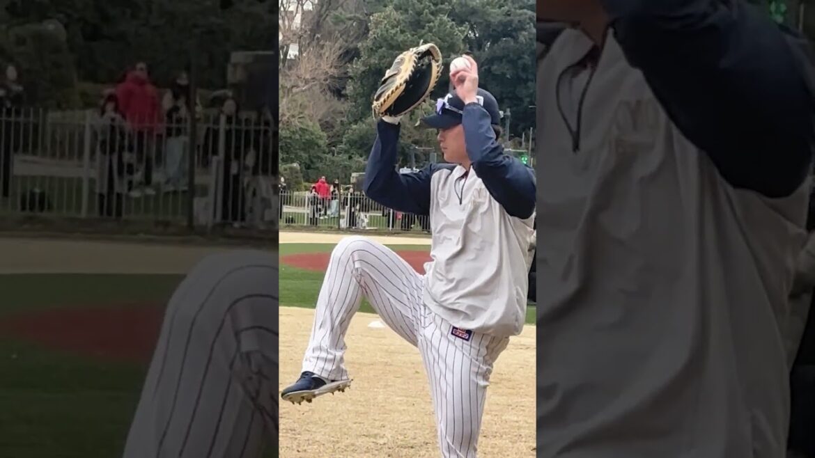 石川雅規投手、高橋奎二投手、小雪降る中ブルペンへ2026神宮外苑キャンプ第２クール1日目＃石川 雅規 #高橋 奎二 #swallows #shorts