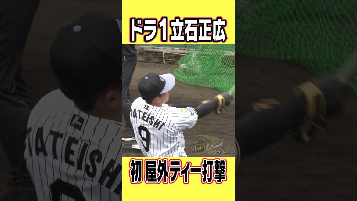 【新人立石】今キャンプ初の屋外ティー打撃！#shorts #虎バンチャンネル #阪神タイガース#立石