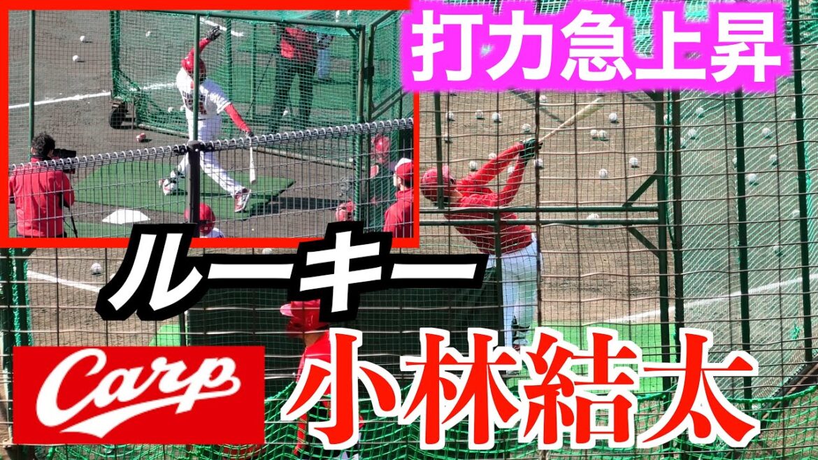 【打力急上昇】ルーキー小林結太（関西／城西大→２６広島育成１位）ティー&フリーバッティング！【２０２６広島東洋カープ春季日南キャンプ】