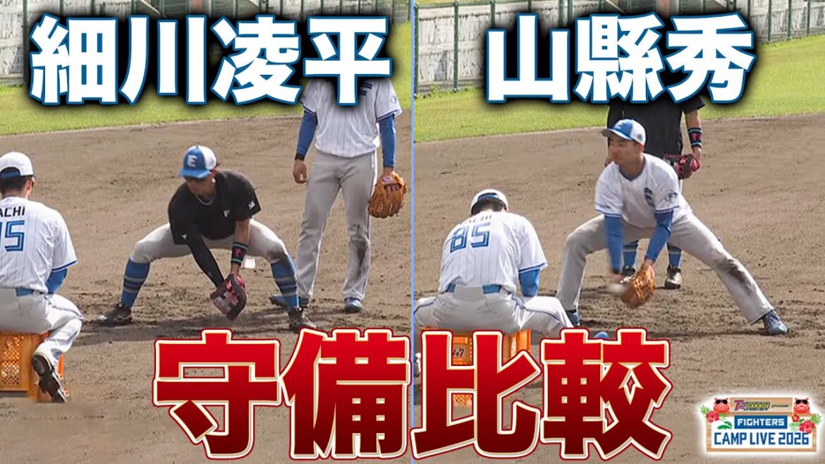 山縣秀＆細川凌平 守備の名手たちを比較する＜2/4ファイターズ春季キャンプ2026＞