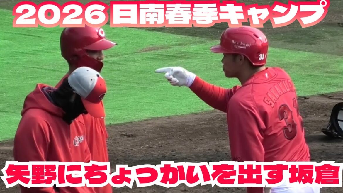 矢野雅哉にちょっかいを出しちゃう坂倉将吾！広島東洋カープ日南春季キャンプ 2026年2月7日