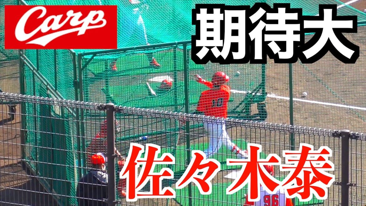 【昨季と打球が違う】佐々木泰フリーバッティング！これは期待しかない！【２０２６広島東洋カープ春季日南キャンプ】