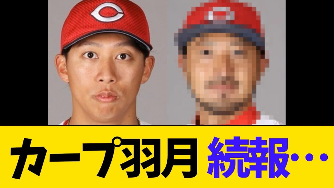 カープ羽月とんでもない事実判明する…【プロ野球】
