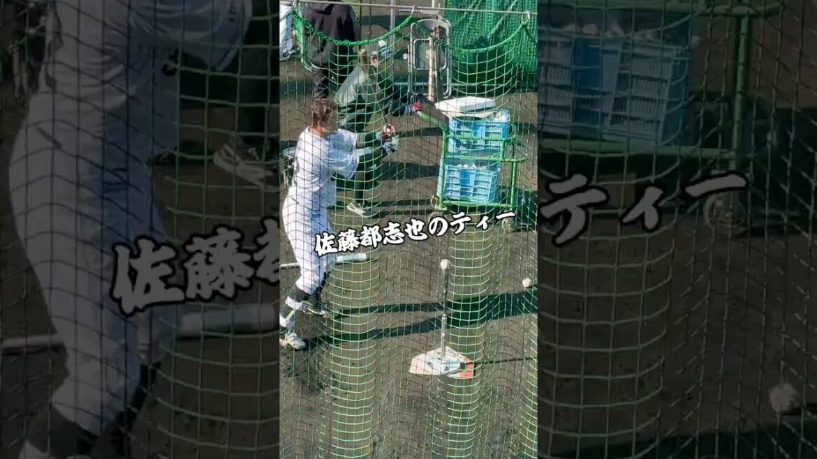 【ロッテ】佐藤都志也（聖光学院ー東洋大）のパワフルティー打撃　千葉ロッテマリーンズ　#ロッテ #千葉ロッテマリーンズ #プロ野球 #投手 #baseball