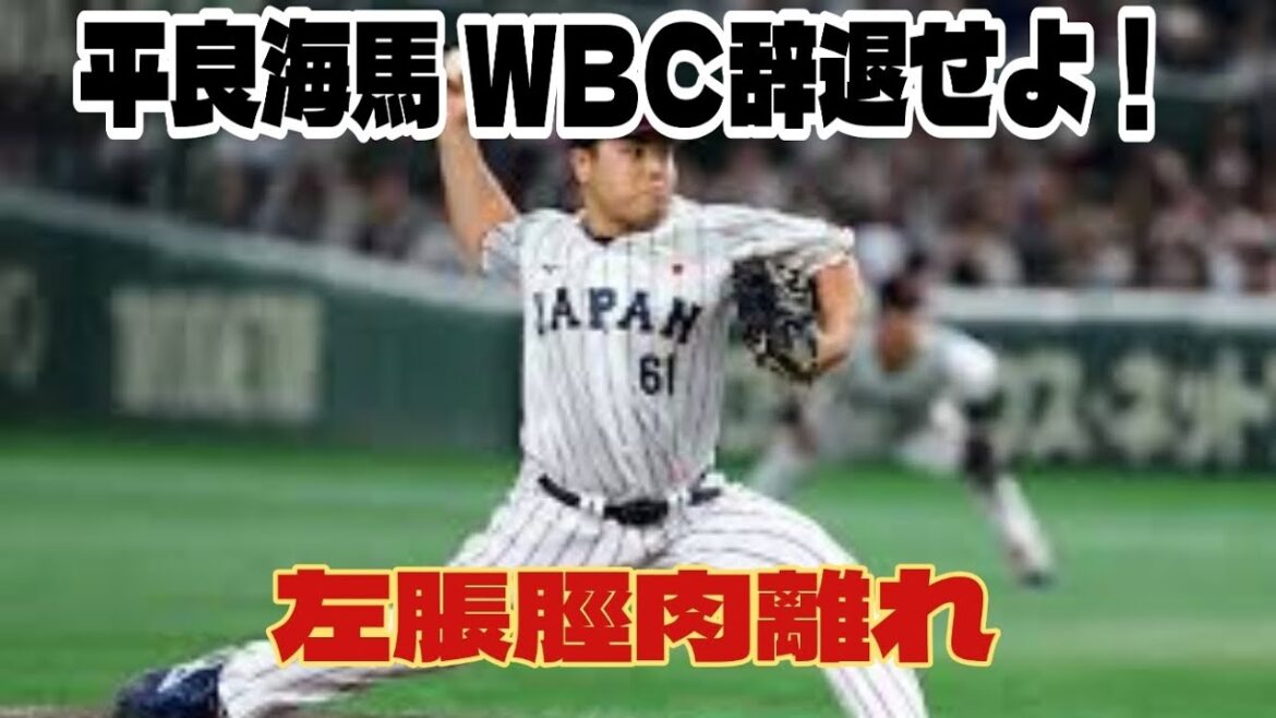 【西武ライオンズ】平良海馬、左脹脛肉離れ WBCは辞退してほしい