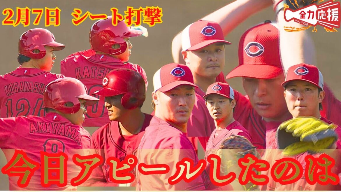 【日南キャンプ】シート打撃🔥大瀬良など主力投手が登板！！打者でアピールしたのは！？【球団認定】カープ全力応援チャンネル