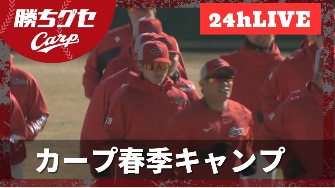 【ループ配信】広島カープ春季キャンプ2026・24hLIVE