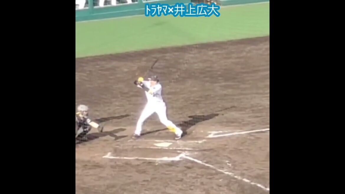 20250510　ﾄﾗﾔﾏが大声援を送る！井上広大の打撃フォーム　#shorts　阪神ﾀｲｶﾞｰｽ2軍@日鉄鋼板SGLｽﾀｼﾞｱﾑ尼崎［ｳｴｽﾀﾝ･ﾘｰｸﾞ 2軍戦］