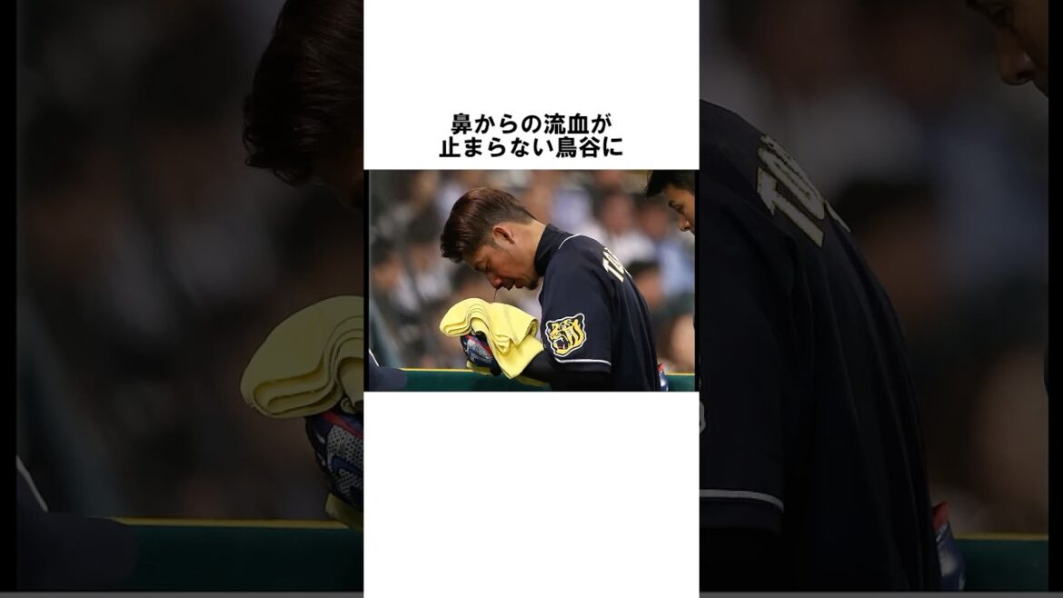【鉄人の証明】顔面直撃の翌日にグラウンドへ。鳥谷敬が“鼻骨骨折”でも試合に出続けた衝撃の理由と、甲子園を揺るがした怒号の真実#鳥谷敬#阪神タイガース#鉄人#連続出場記録#吉川光夫#中谷将#shorts