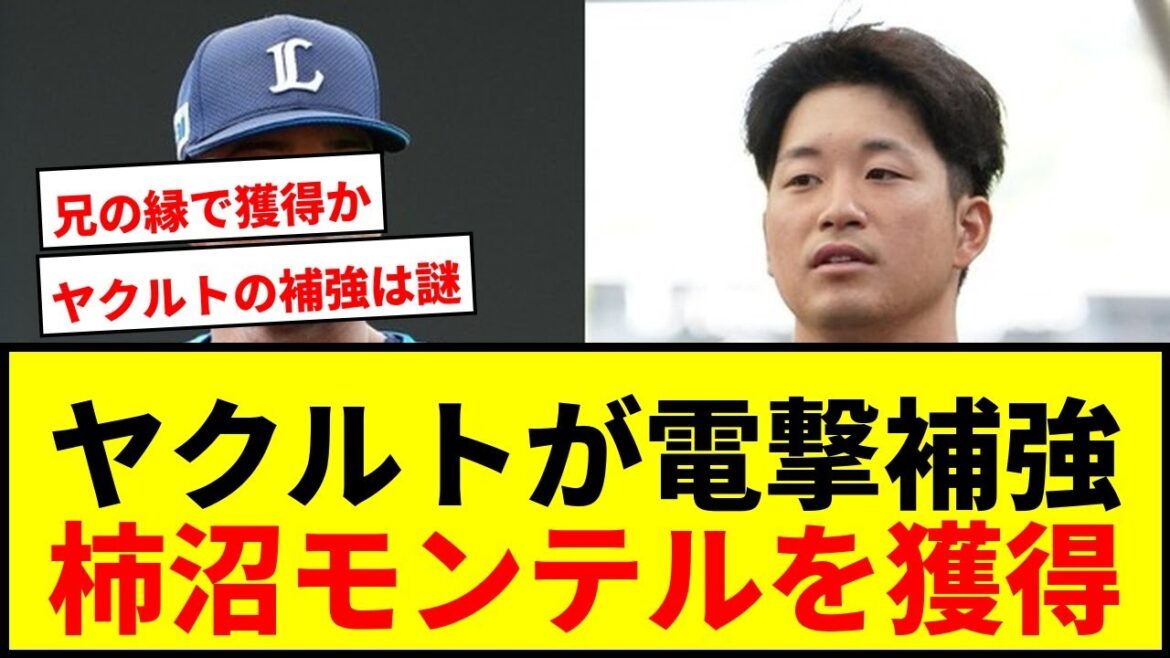 【速報】ヤクルト、ロッテ柿沼＆西武モンテルを獲得！兄ジュリアスも在籍の縁にファン期待