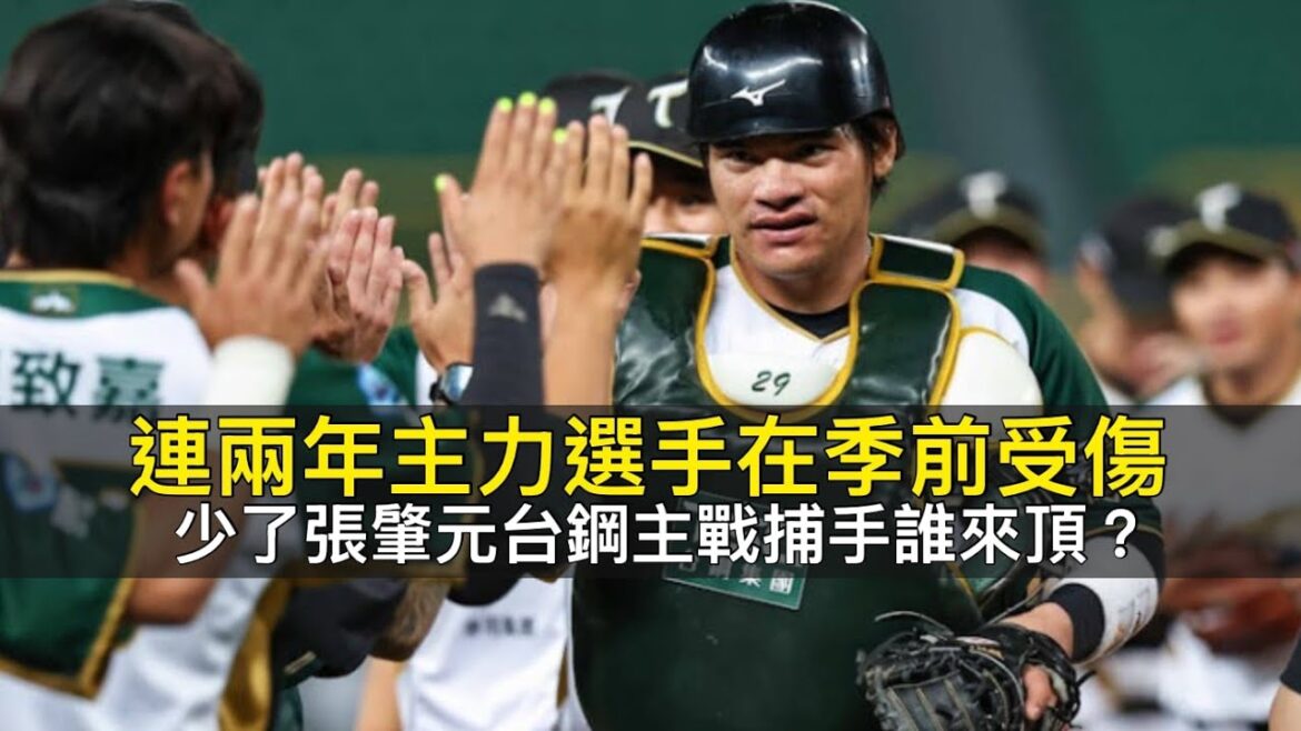 連兩年主力選手在季前受傷...少了張肇元台鋼主戰捕手誰來頂？