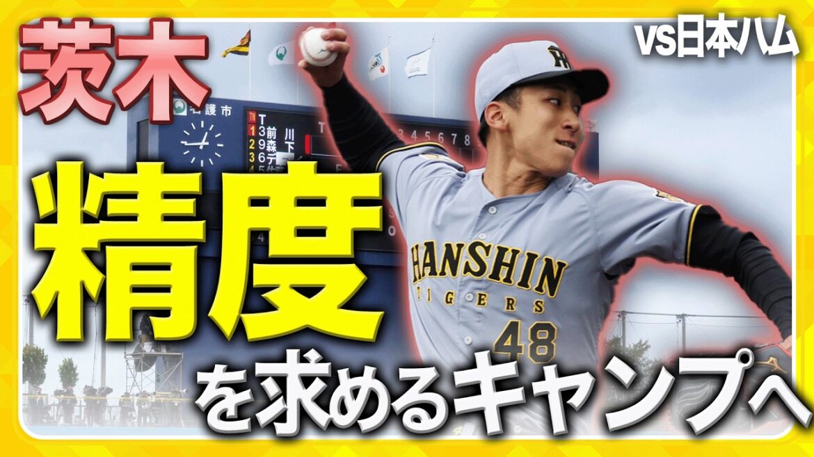【今季初の対外試合】日本ハム戦に #茨木秀俊 選手が先発！悔しさを滲ませながらも無失点にまとめた率直な想いを伺いました！また、今キャンプ好調の #濱田太貴 選手。活躍の裏にはコーチの存在が…！？
