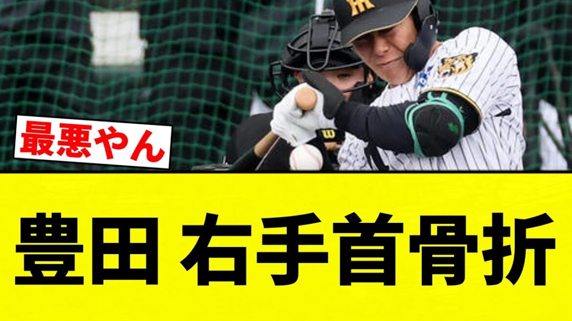 【骨折してんねん！】豊田 右手首骨折【プロ野球反応集】【2chスレ】【なんG】