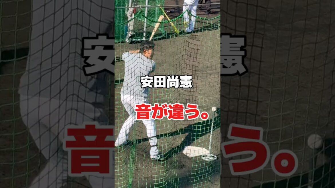 ロッテ・安田尚憲、ティー打撃の「音」が違う。　千葉ロッテマリーンズ　プロ野球　#ロッテ #千葉ロッテマリーンズ #プロ野 #baseball