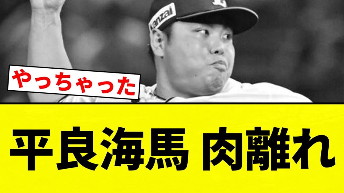 【最悪や...】平良海馬 肉離れ【プロ野球反応集】【2chスレ】【なんG】