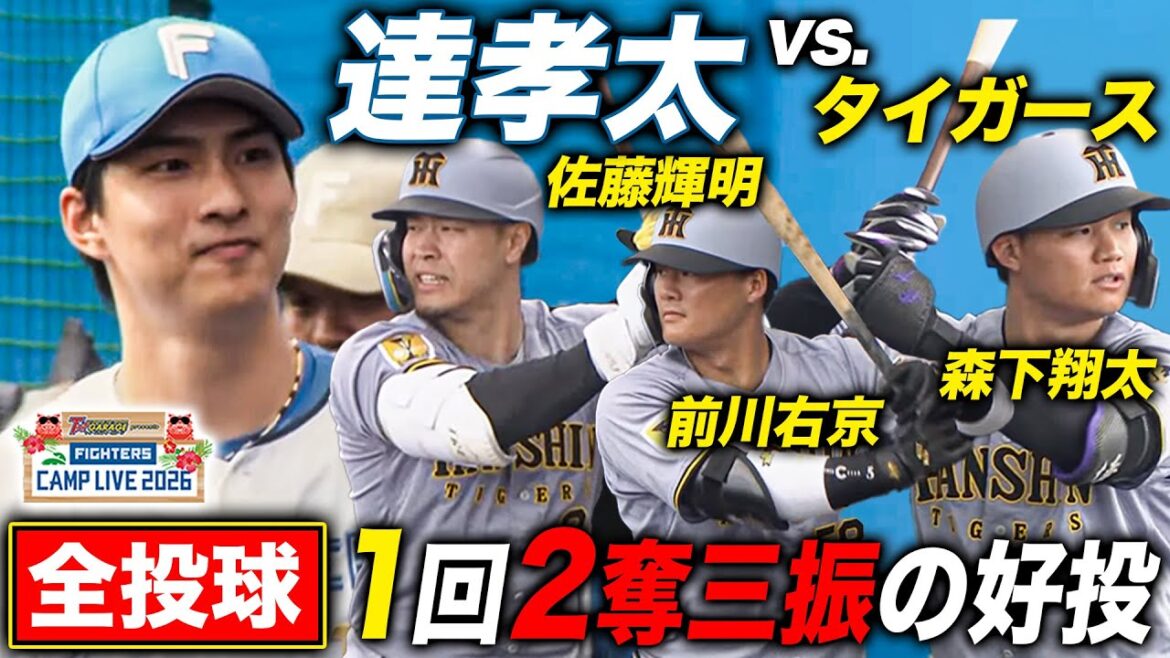 達孝太vsタイガース練習試合 佐藤輝明＆森下翔太斬り‼️先発1回2奪三振無失点＜2/8ファイターズ春季キャンプ2026＞