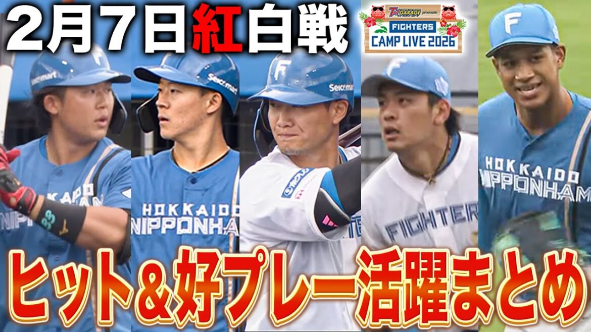 万波中正レーザービーム＆新セカンド野村佑希/吉田賢吾が好守備‼️見どころ満載の紅白戦活躍まとめ＜2/7ファイターズ春季キャンプ2026＞