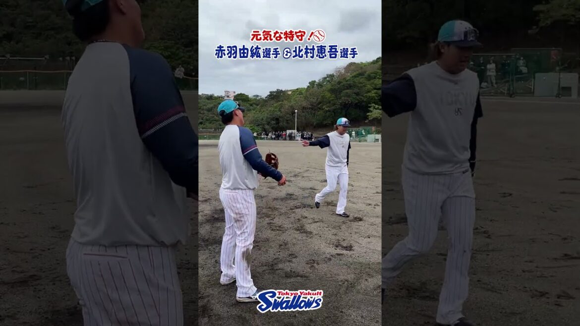 赤羽由紘選手&北村恵吾選手の元気な特守！2026浦添キャンプ第2クール3日目 #赤羽由紘 #北村恵吾 #shorts