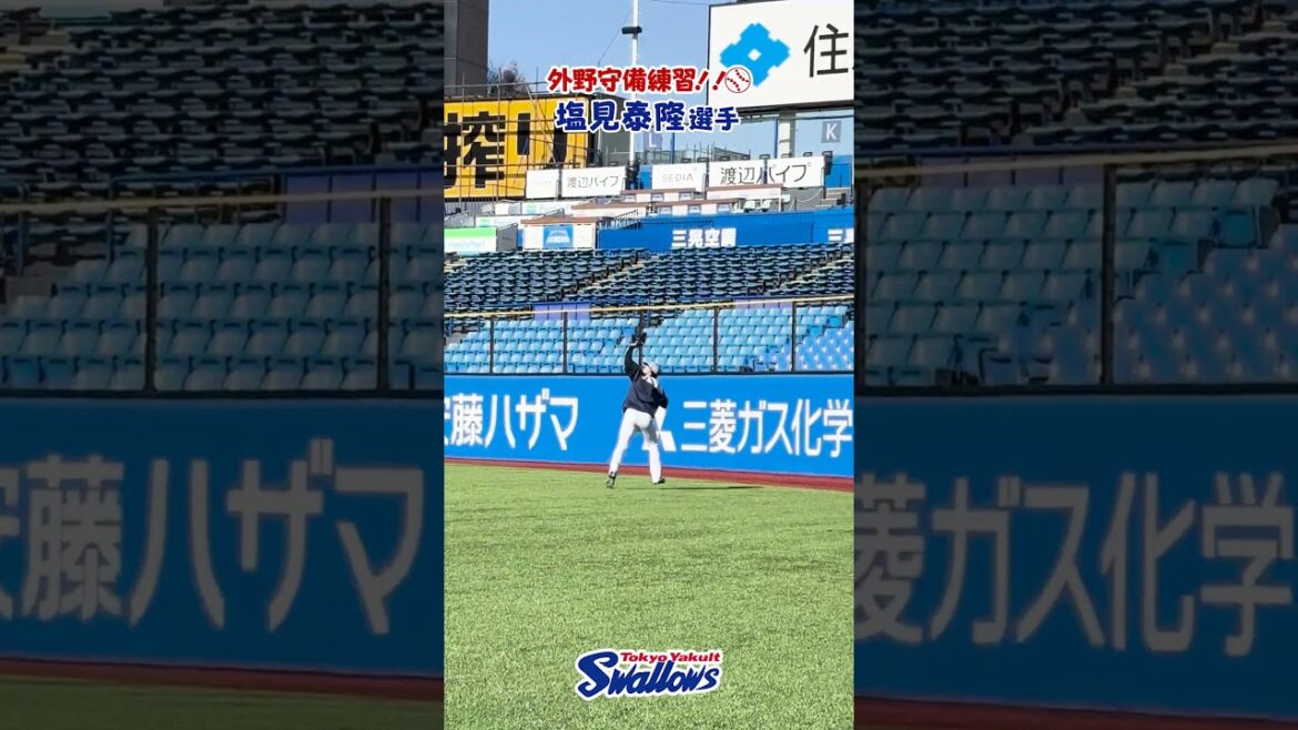 神宮球場で塩見選手外野守備練習！！2026神宮外苑キャンプ第２クール3日目 #塩見泰隆 #swallows #shorts