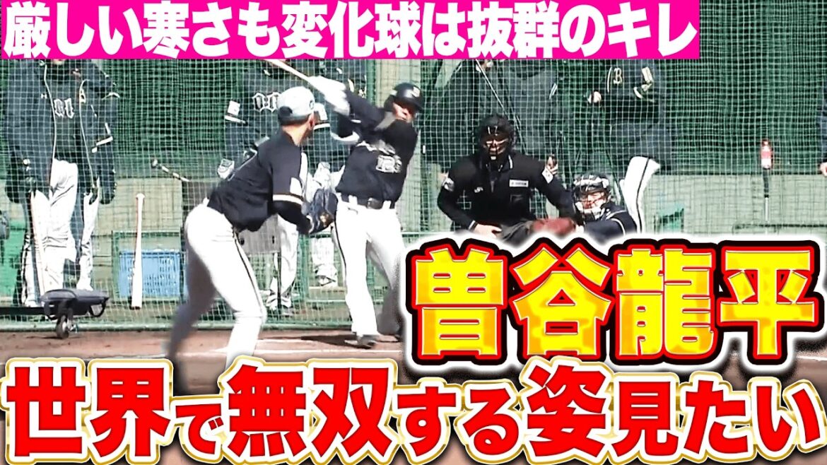 【WBC球への適性は…】曽谷龍平『指先を温めながらも…素晴らしい変化球のキレで順調アピール！』