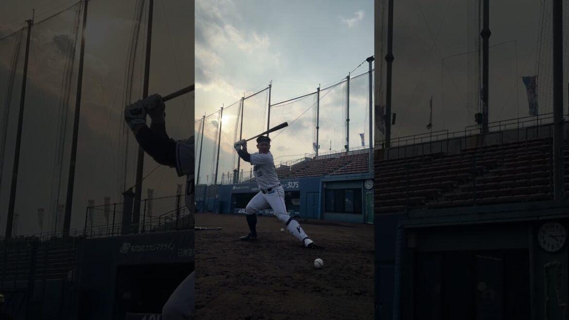 【夕陽を背にバットを振り込む】#古賀悠斗 選手の自主練をノーカットで！