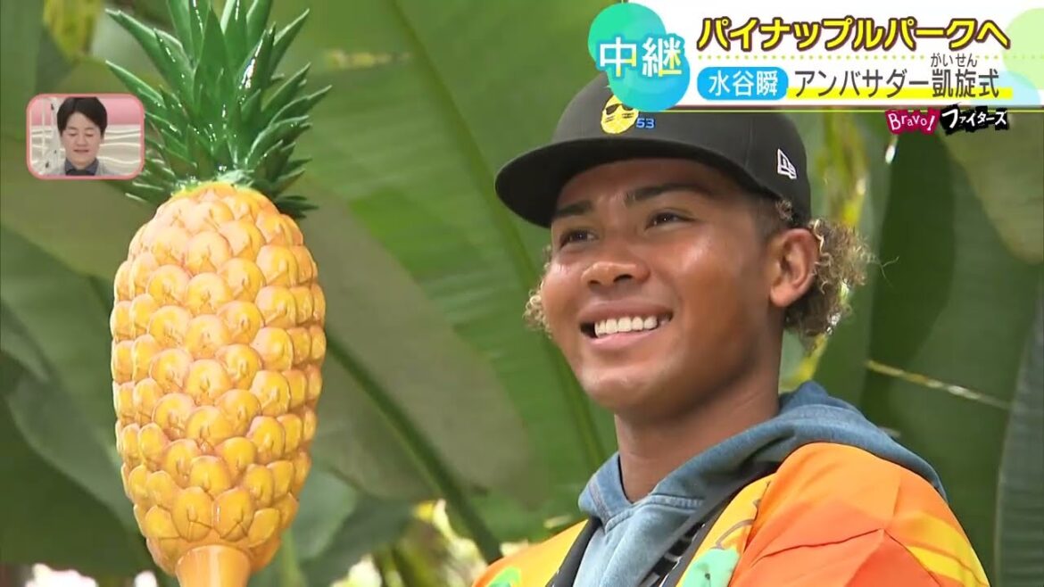 【ファイターズ】キャンプ最新情報！ファイターズ初の対外試合！｜阪神戦｜鶴岡さんが注目した選手は？