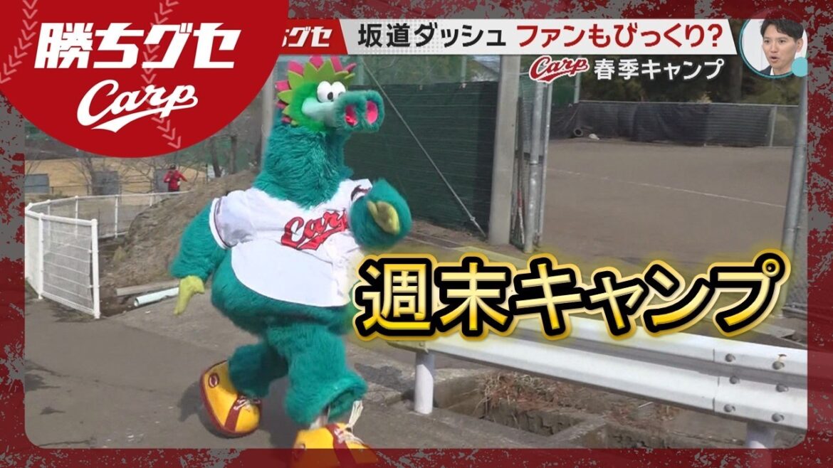 【Carp週末キャンプ】初のシート打撃でアピール スラィリーは...｜日南春季キャンプ｜勝ちグセ｜カープ｜ピタニュー