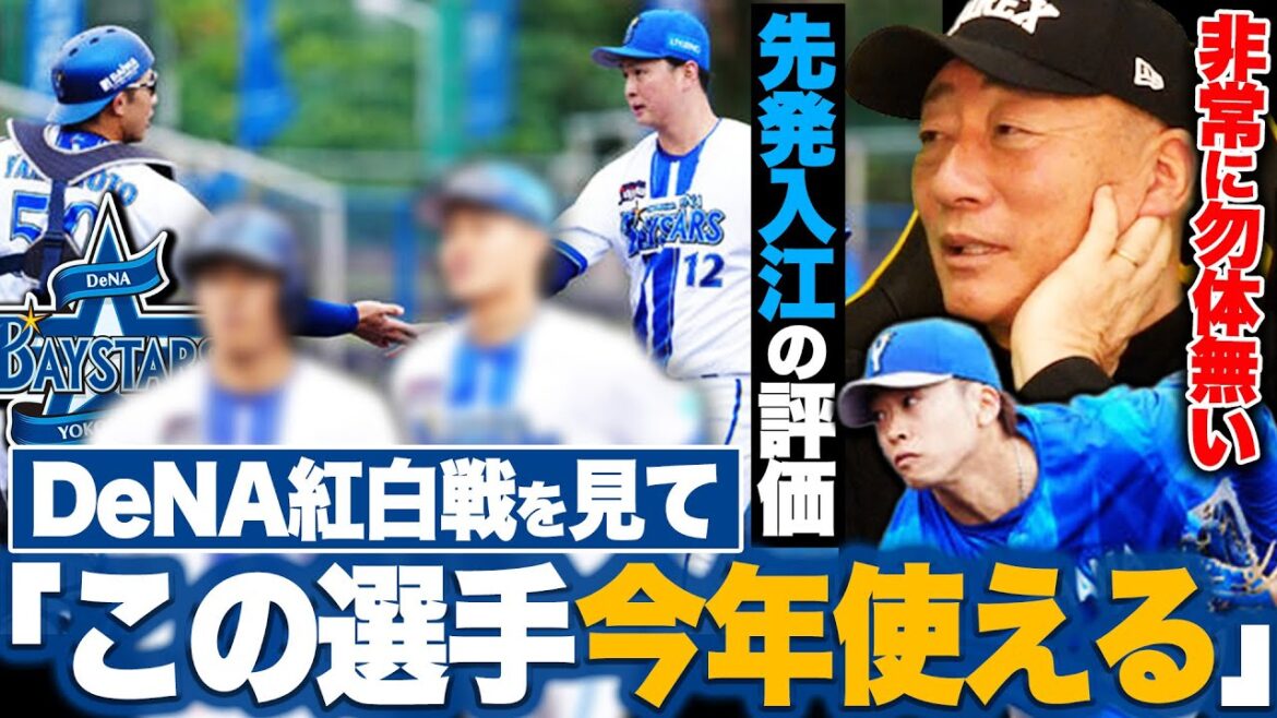 【DeNA紅白戦】「長嶋茂雄さんと同じタイプなのに勿体無い!!」逸材発見もDeNAの伝統が邪魔している!?先発転向の入江は「◯◯の意識を変えてみてほしい」青白戦で見つけた逸材を発表します