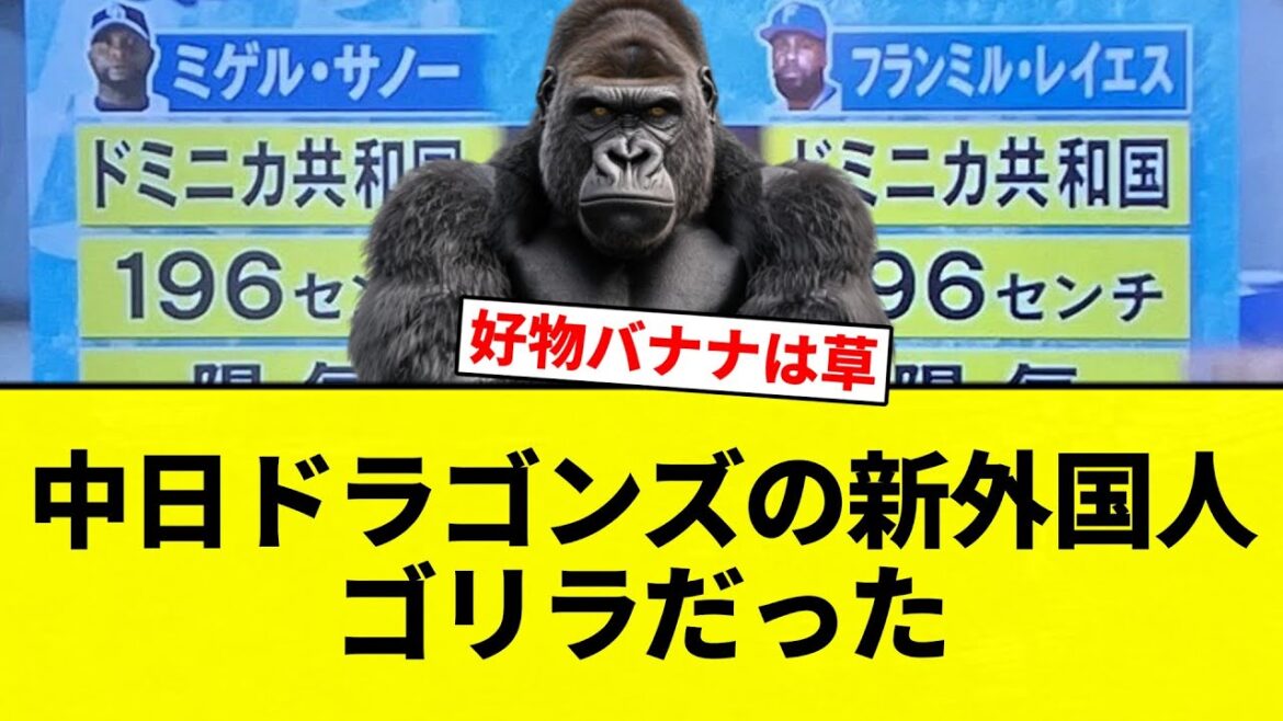 【今江すか？笑】中日ドラゴンズの新外国人　ゴリラだった【プロ野球反応集】【2chスレ】【なんG】