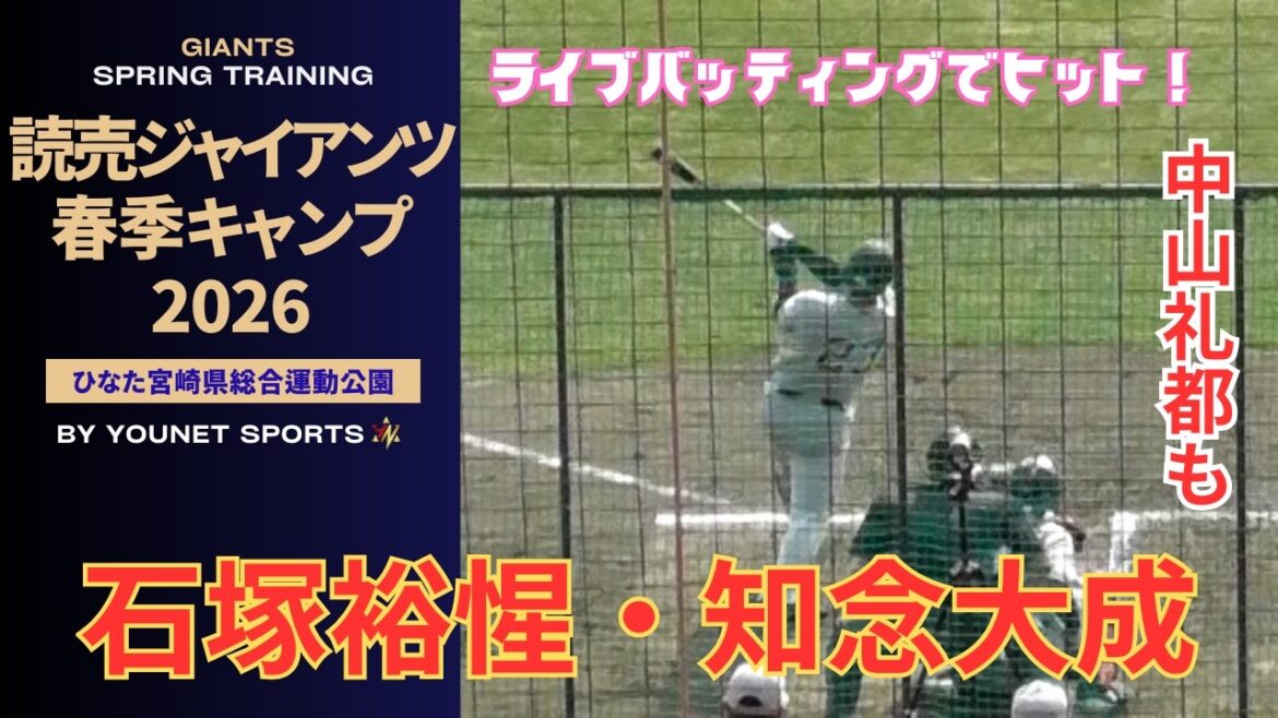 【ナイスバッティング】石塚裕惺、中山礼都、知念大成がライブバッティングでヒット！（宮崎キャンプ2026）#石塚裕惺 #知念大成 #中山礼都