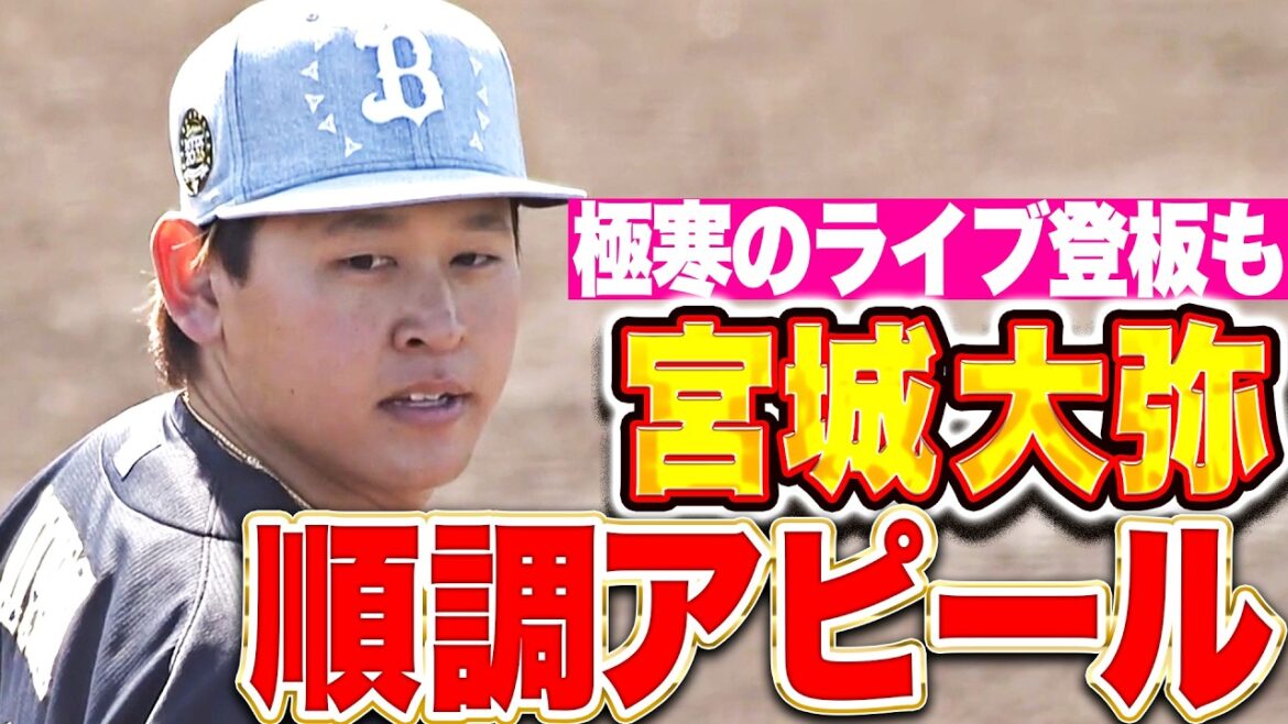 Pacific-League: 【WBC球への対応は…】宮城大弥『厳しい寒さの中ライブBP登板!順調な仕上がりをアピール!』 【WBC球への対応は…】宮城大弥『厳しい寒さの中ライブBP登板!順調な仕上がりをアピール!』