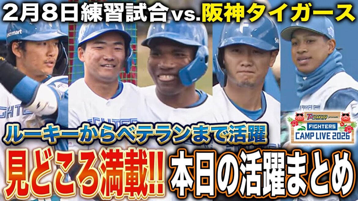 ルーキー/主力/ベテラン総活躍‼️阪神タイガースとの練習試合 ヒット＆好守備活躍まとめ＜2/8ファイターズ春季キャンプ2026＞