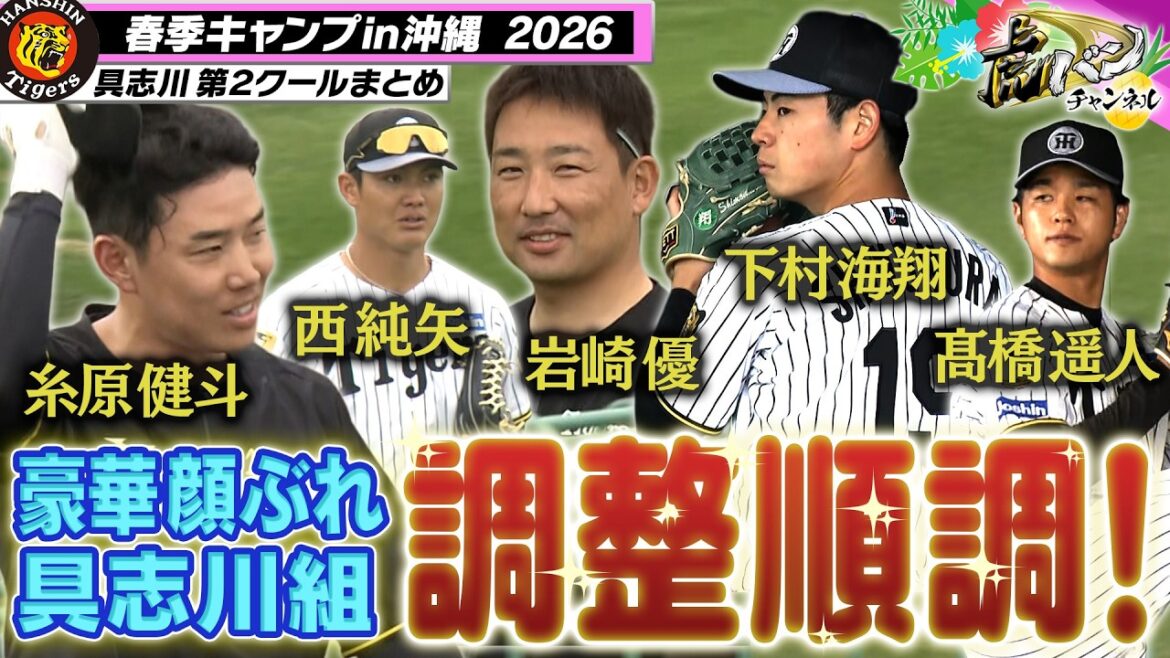 【具志川便り】層が厚すぎる投手陣！髙橋・下村のブルペン、糸原・梅野・木浪も元気ハツラツ！阪神タイガース密着！応援番組「虎バン」ABCテレビ公式チャンネル