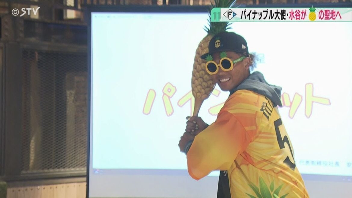 パイナップルパーク・アンバサダーの水谷選手　互いに「パイナップルバット」プレゼント　ファイターズ沖縄キャンプ