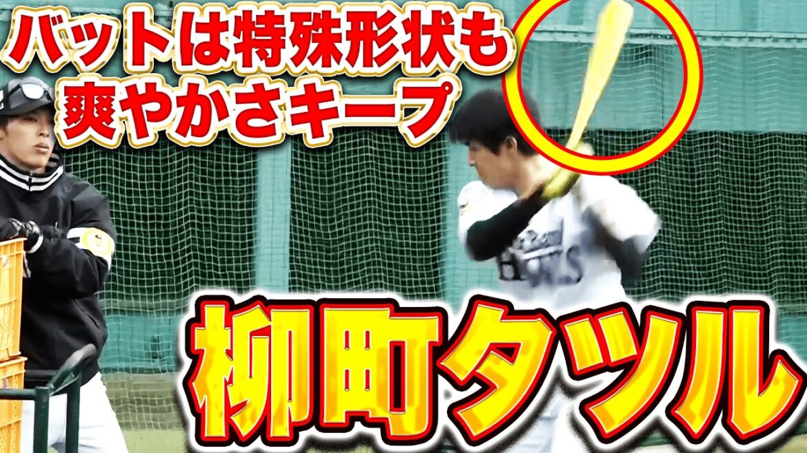 【特殊なタツル】柳町達『面が平なクリケットバットで熱心に振り込む』
