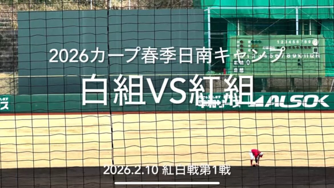 全打席ハイライト！沖縄切符をかけた今季初の紅白戦、アピールした若手は誰だ！【2026.2.10春季日南キャンプ第3クール1日目】#広島カープ#紅白戦#2026春季日南キャンプ#辰見鴻之介#西川篤夢