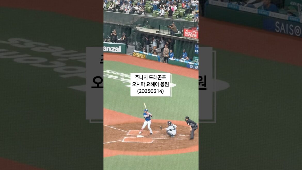 ベルーナドーム　交流戦　中日ドラゴンズ　大島洋平　応援歌