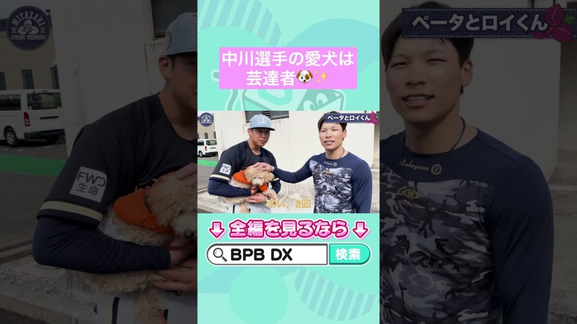 ワンちゃんトーク🐶✨#山下舜平大 #中川圭太 #ロイくん #トイプードル  #オリックス #shorts