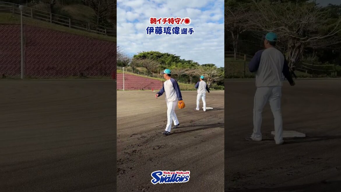 伊藤琉偉選手、朝イチ特守！2026浦添キャンプ第2クール4日目　#伊藤琉偉 #swallows #shorts