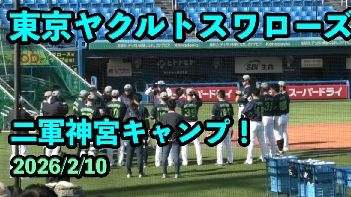 【2026/2/10】東京ヤクルトスワローズ　二軍神宮キャンプ！