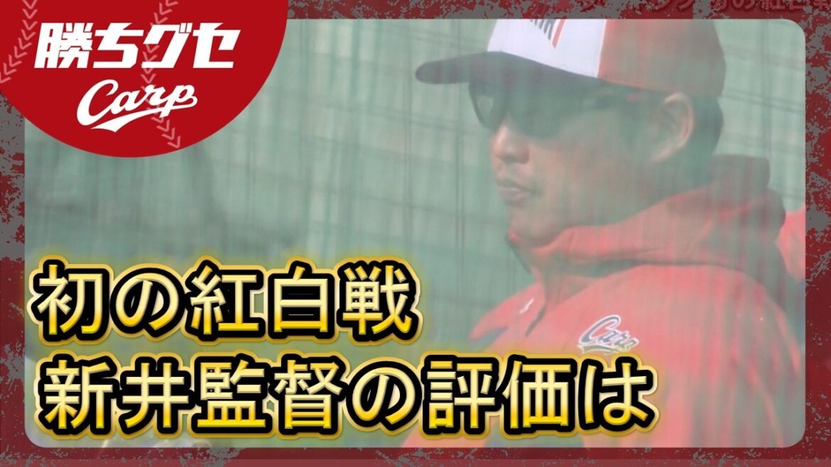 【Carpキャンプ】初の紅白戦 先発は床田＆森下 ルーキー西川2安打｜日南春季キャンプ｜安部解説｜勝ちグセ｜カープ｜ピタニュー