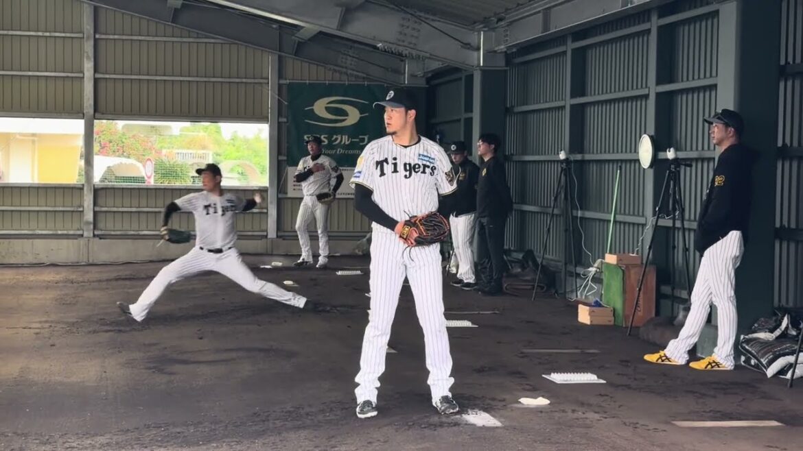 西勇輝/岩崎優/岩貞祐太投手⚾️藤川球児監督視察 @具志川ブルペン26/2/2 #阪神タイガース　#プロ野球　#西勇輝　#岩崎優 #岩貞祐太